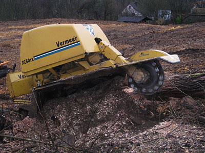 Forstwirt Mario Hall Gartenbetrieb - Forstbetrieb - Baumfllung - Problemfllung - Grobaumfllung - Grnanlagenpflege - Mharbeiten in Hachenburg Westerwald / WW