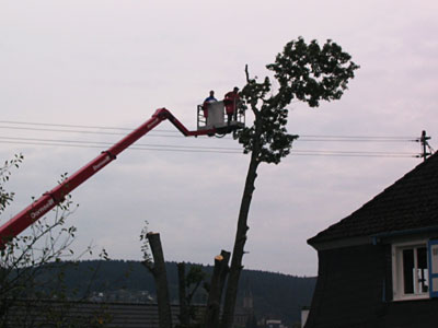 Forstwirt Mario Hall Gartenbetrieb - Forstbetrieb - Baumfllung - Problemfllung - Grobaumfllung - Grnanlagenpflege - Mharbeiten in Hachenburg Westerwald / WW