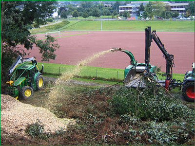 Forstwirt Mario Hall Gartenbetrieb - Forstbetrieb - Baumfllung - Problemfllung - Grobaumfllung - Grnanlagenpflege - Mharbeiten in Hachenburg Westerwald / WW