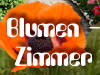 Zimmer Zimmer
